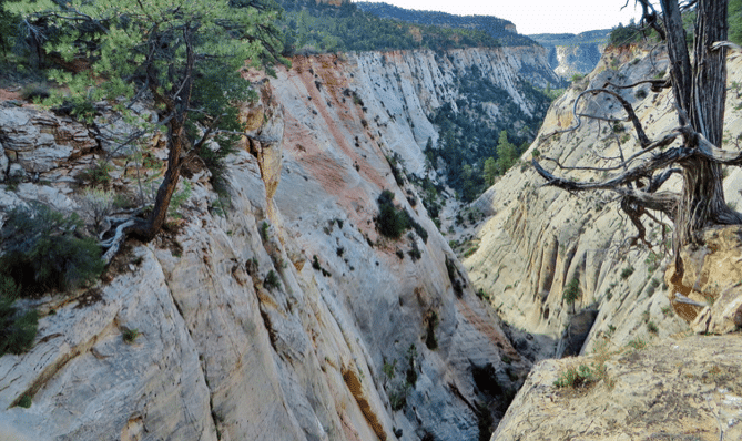 A narrow canyon with layered rock formations and sparse vegetation.